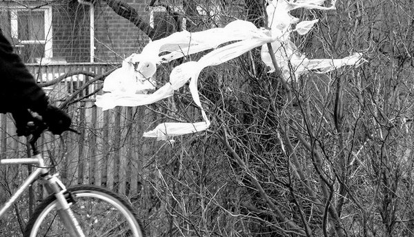 IMG_1094 - Copy - Copy